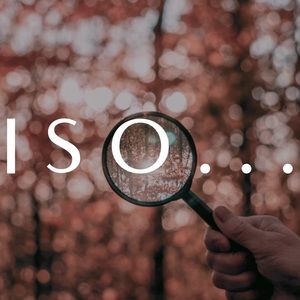 In Search Of…?